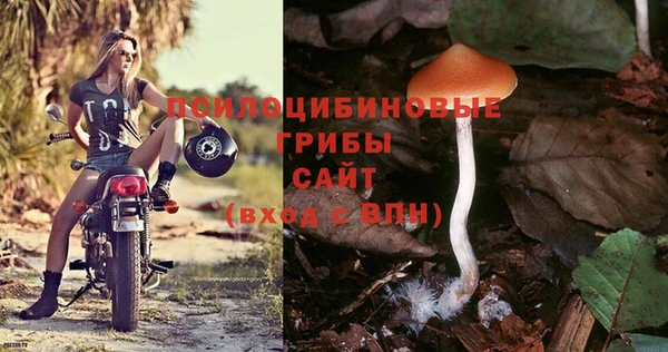 дурь Михайлов