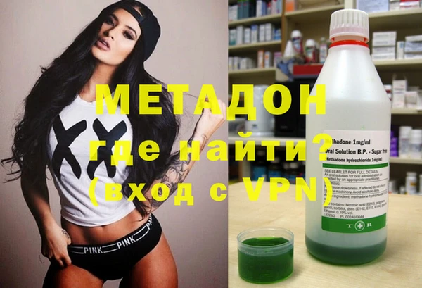 прущие грибы Чегем