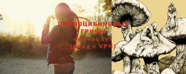 дурь Михайлов